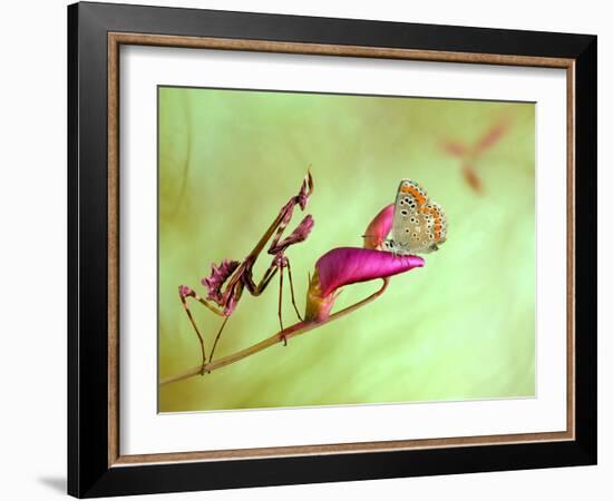 Patience-Jimmy Hoffman-Framed Photographic Print