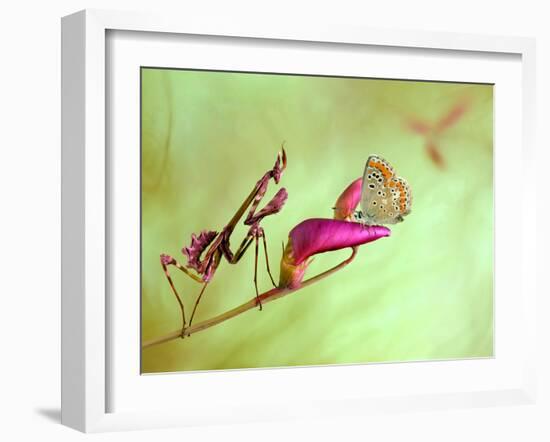 Patience-Jimmy Hoffman-Framed Photographic Print