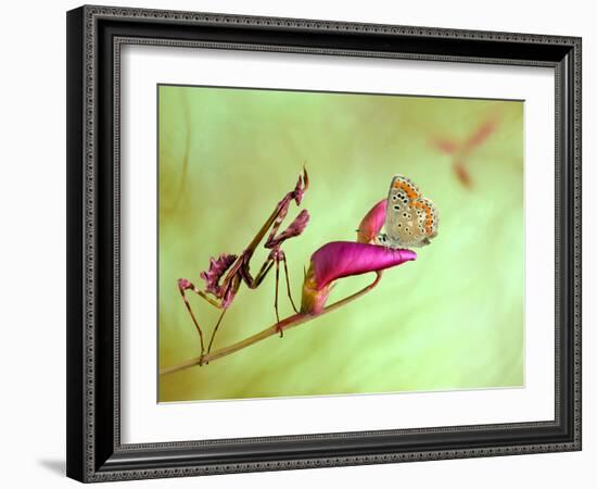 Patience-Jimmy Hoffman-Framed Photographic Print