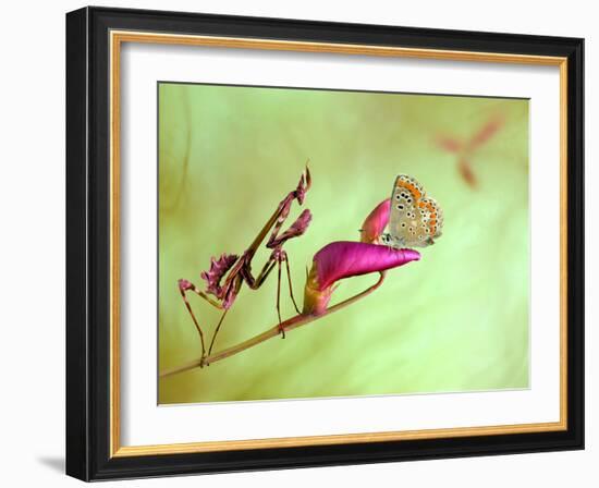 Patience-Jimmy Hoffman-Framed Photographic Print