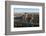 Patio De Los Naranjos and the Mezquita Cathedral Seen from its Bell Tower-Carlo Morucchio-Framed Photographic Print