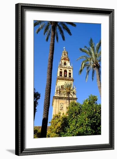 Patio De Los Naranjos, Mezquita Cathedral, Cordoba, Andalucia, Spain-Carlo Morucchio-Framed Photographic Print