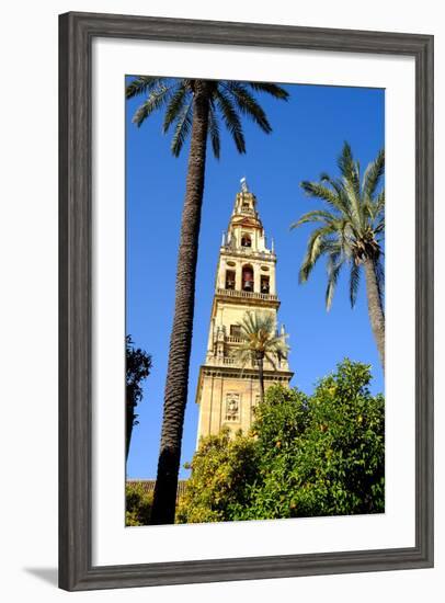 Patio De Los Naranjos, Mezquita Cathedral, Cordoba, Andalucia, Spain-Carlo Morucchio-Framed Photographic Print