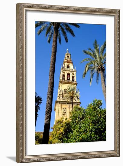 Patio De Los Naranjos, Mezquita Cathedral, Cordoba, Andalucia, Spain-Carlo Morucchio-Framed Photographic Print