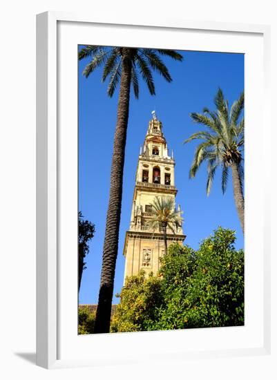 Patio De Los Naranjos, Mezquita Cathedral, Cordoba, Andalucia, Spain-Carlo Morucchio-Framed Photographic Print