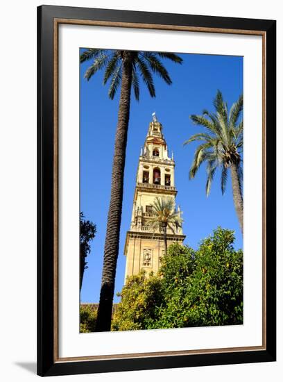 Patio De Los Naranjos, Mezquita Cathedral, Cordoba, Andalucia, Spain-Carlo Morucchio-Framed Photographic Print
