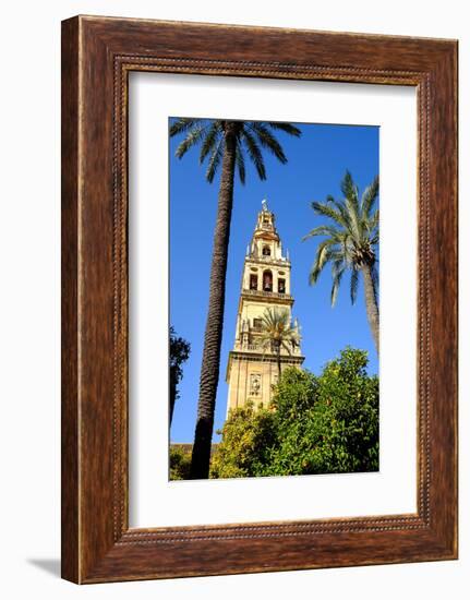 Patio De Los Naranjos, Mezquita Cathedral, Cordoba, Andalucia, Spain-Carlo Morucchio-Framed Photographic Print