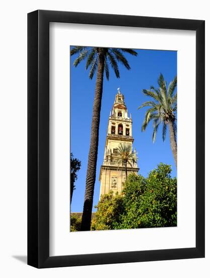 Patio De Los Naranjos, Mezquita Cathedral, Cordoba, Andalucia, Spain-Carlo Morucchio-Framed Photographic Print