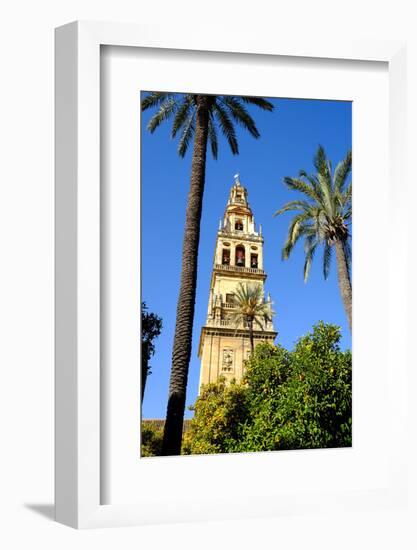 Patio De Los Naranjos, Mezquita Cathedral, Cordoba, Andalucia, Spain-Carlo Morucchio-Framed Photographic Print