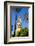 Patio De Los Naranjos, Mezquita Cathedral, Cordoba, Andalucia, Spain-Carlo Morucchio-Framed Photographic Print