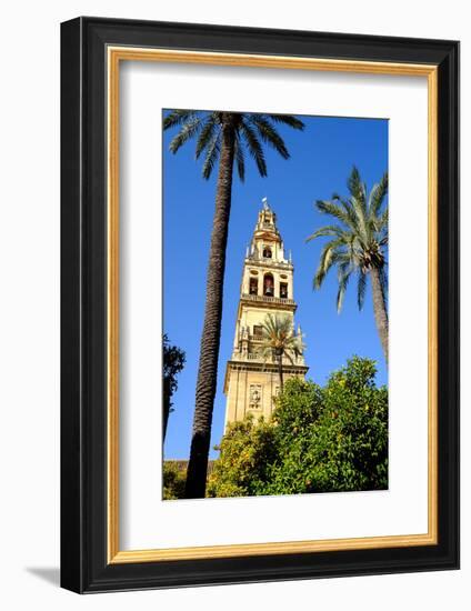 Patio De Los Naranjos, Mezquita Cathedral, Cordoba, Andalucia, Spain-Carlo Morucchio-Framed Photographic Print