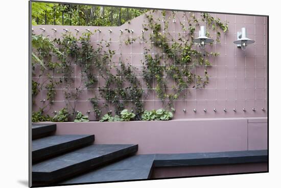 Patio Garden at Basement Level Showing a Raised Bed Planted with Brunnera London-Pedro Silmon-Mounted Photo