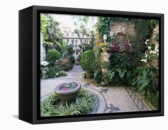 Patio in Private House During Annual Patio Competition, Cordoba, Andalucia, Spain-Rob Cousins-Framed Premier Image Canvas