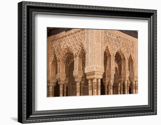 Patio of the Lions Columns from the Alhambra Palace-Lotsostock-Framed Photographic Print