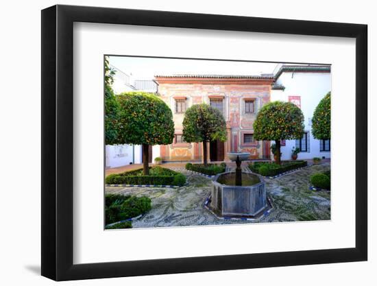 Patio of the Museo De Bellas Artes and Museo Julio Romero De Torres, Cordoba, Andalucia, Spain-Carlo Morucchio-Framed Photographic Print