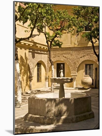 Patio With Fountain at Divino Salvador Church, Seville, Andalusia, Spain, Europe-Guy Thouvenin-Mounted Photographic Print