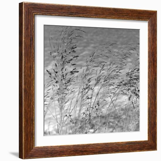 Patmos Grasses-Tony Koukos-Framed Giclee Print