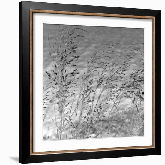 Patmos Grasses-Tony Koukos-Framed Giclee Print