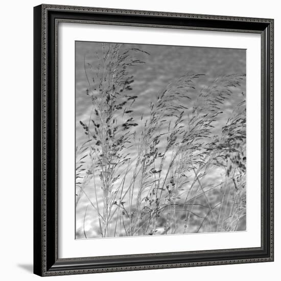 Patmos Grasses-Tony Koukos-Framed Giclee Print