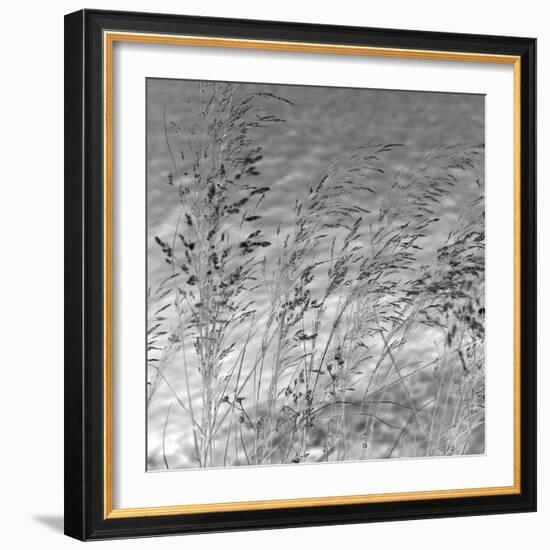 Patmos Grasses-Tony Koukos-Framed Giclee Print