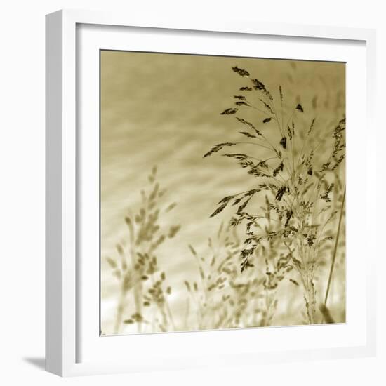 Patmos Organics II-Tony Koukos-Framed Giclee Print