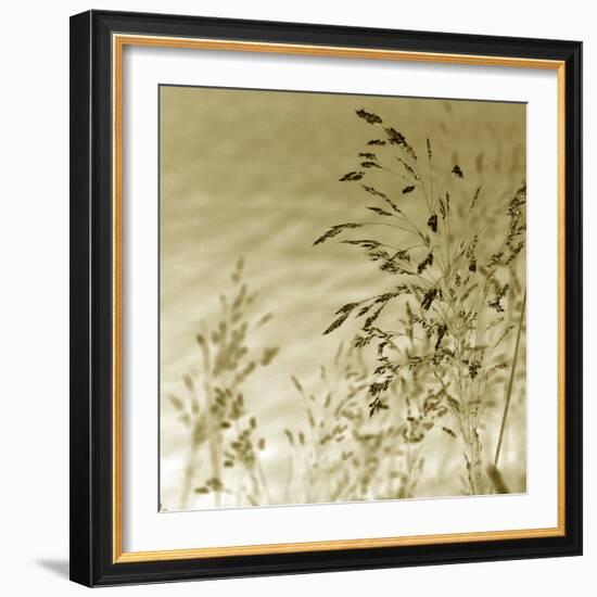 Patmos Organics II-Tony Koukos-Framed Giclee Print