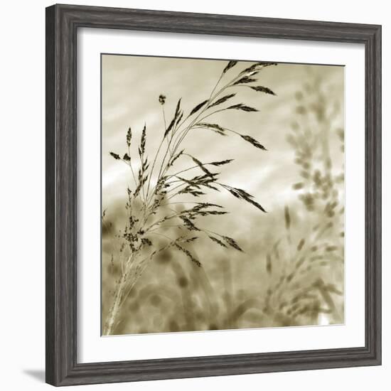 Patmos Organics IV-Tony Koukos-Framed Giclee Print