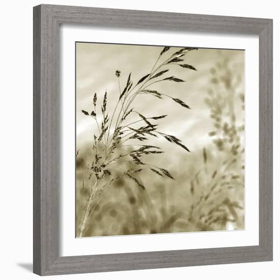 Patmos Organics IV-Tony Koukos-Framed Giclee Print