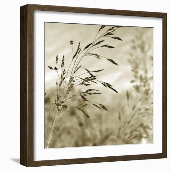 Patmos Organics IV-Tony Koukos-Framed Giclee Print