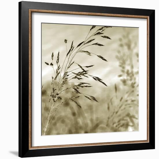 Patmos Organics IV-Tony Koukos-Framed Giclee Print