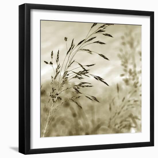 Patmos Organics IV-Tony Koukos-Framed Giclee Print