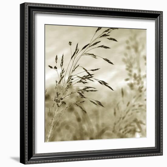 Patmos Organics IV-Tony Koukos-Framed Giclee Print