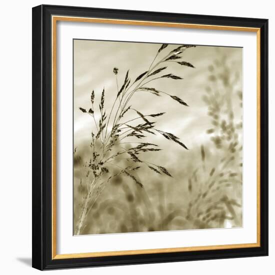 Patmos Organics IV-Tony Koukos-Framed Giclee Print