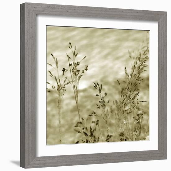 Patmos Organics V-Tony Koukos-Framed Giclee Print