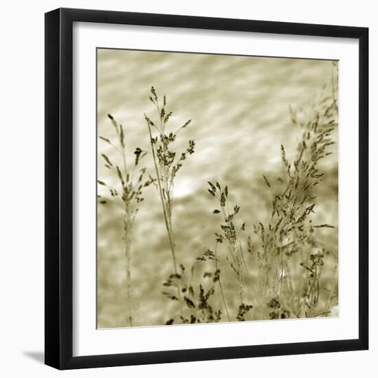 Patmos Organics V-Tony Koukos-Framed Giclee Print