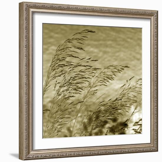 Patmos Organics VI-Tony Koukos-Framed Giclee Print