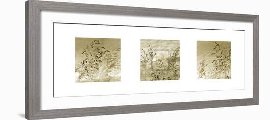 Patmos Trio-Tony Koukos-Framed Art Print