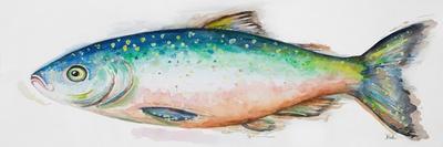 Watercolor Fish I-Patrcia Pinto-Art Print