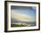 Patreksfjordhur, Western Iceland, Polar Regions-David Lomax-Framed Photographic Print