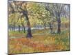 Giclee Print