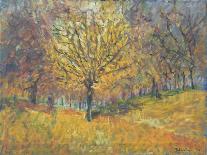 November in Hyde Park, 1997-Patricia Espir-Framed Giclee Print