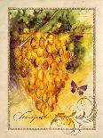 Citrus Orchard 4-Patricia Haberler-Framed Art Print