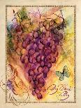 Valley Vines 1-Patricia Haberler-Art Print