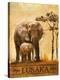 Stretched Canvas Print