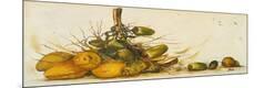 Premium Giclee Print