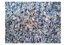 Confetti-Patricia Russac-Art Print