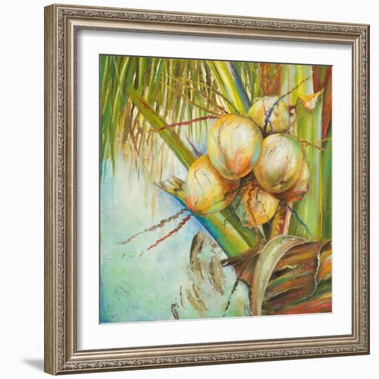 Patricia's Coconuts II-Patricia Pinto-Framed Art Print