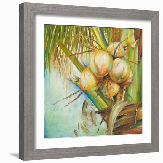 Patricia's Coconuts II-Patricia Pinto-Framed Art Print