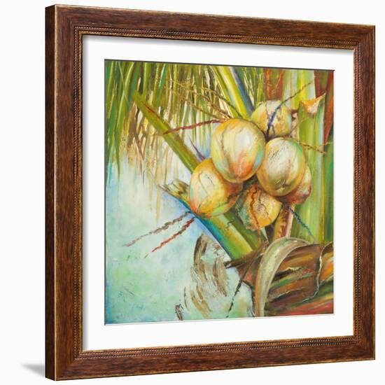 Patricia's Coconuts II-Patricia Pinto-Framed Art Print