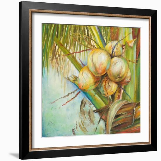 Patricia's Coconuts II-Patricia Pinto-Framed Art Print